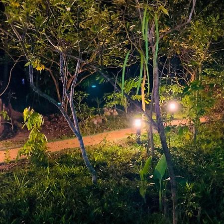 Sigiri Starwing Villa Sigiriya Bagian luar foto