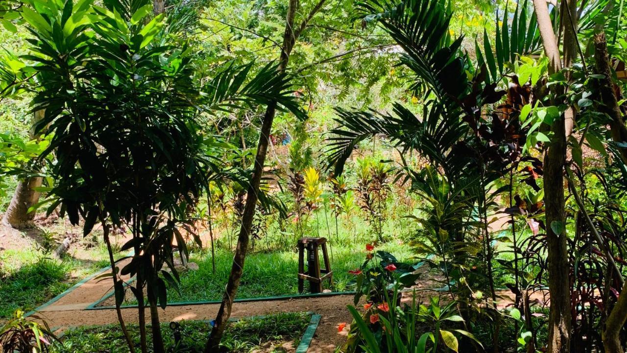 Sigiri Starwing Villa Sigiriya Bagian luar foto