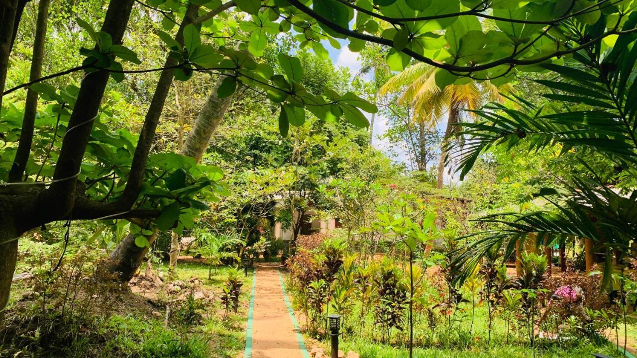 Sigiri Starwing Villa Sigiriya Bagian luar foto