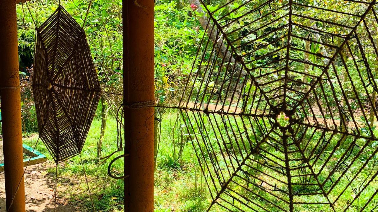 Sigiri Starwing Villa Sigiriya Bagian luar foto
