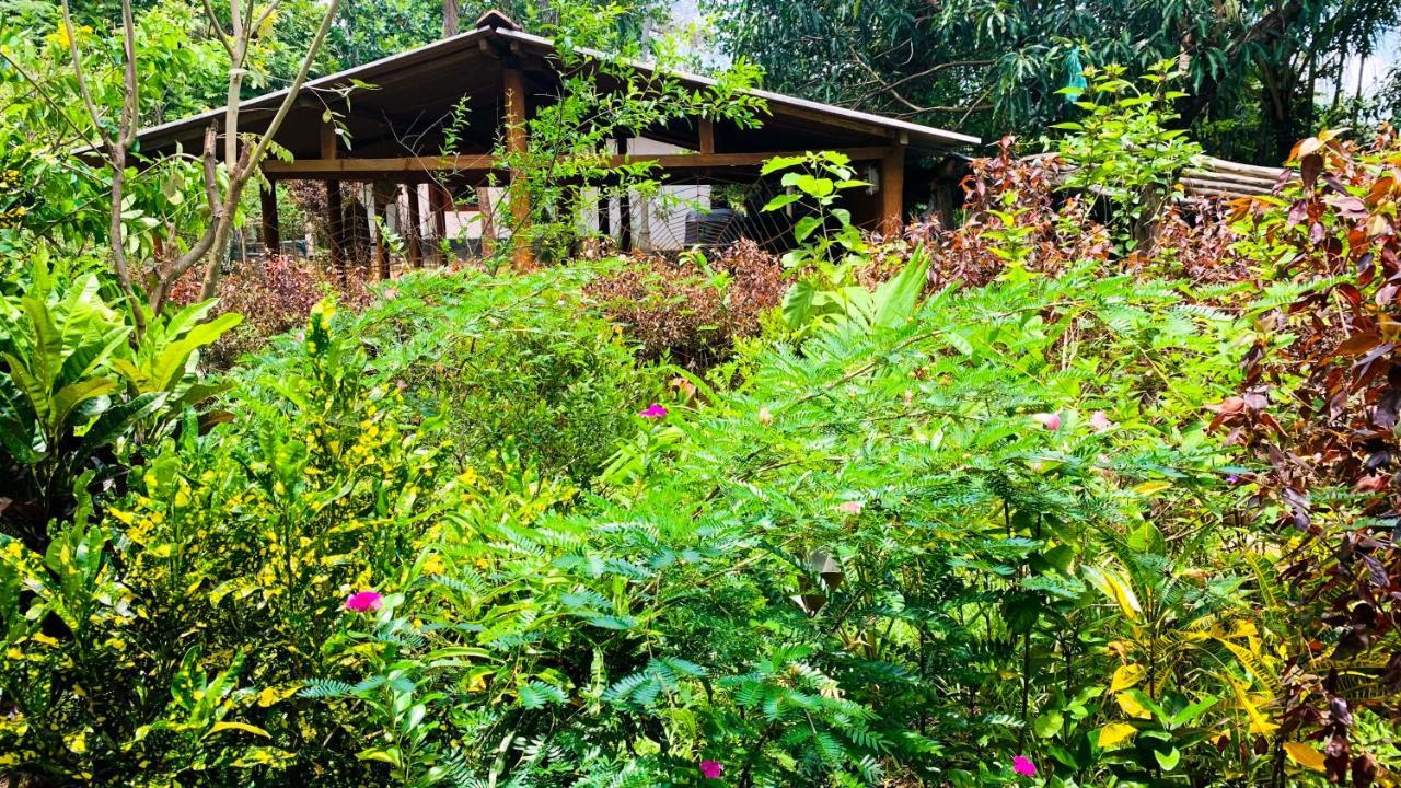 Sigiri Starwing Villa Sigiriya Bagian luar foto