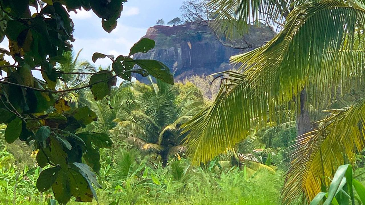 Sigiri Starwing Villa Sigiriya Bagian luar foto