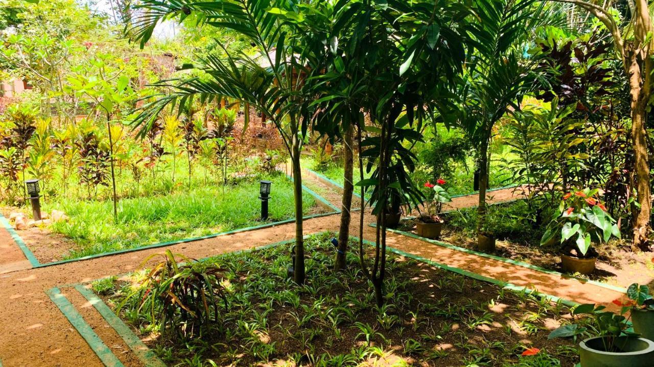 Sigiri Starwing Villa Sigiriya Bagian luar foto